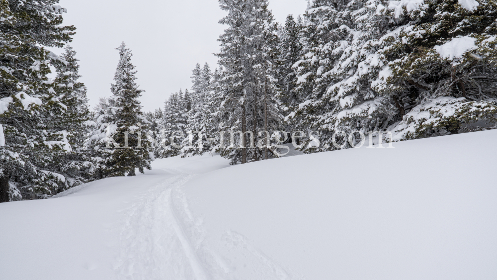 Skitourenspur / Patscherkofel, Tirol, Austria by kristen-images.com