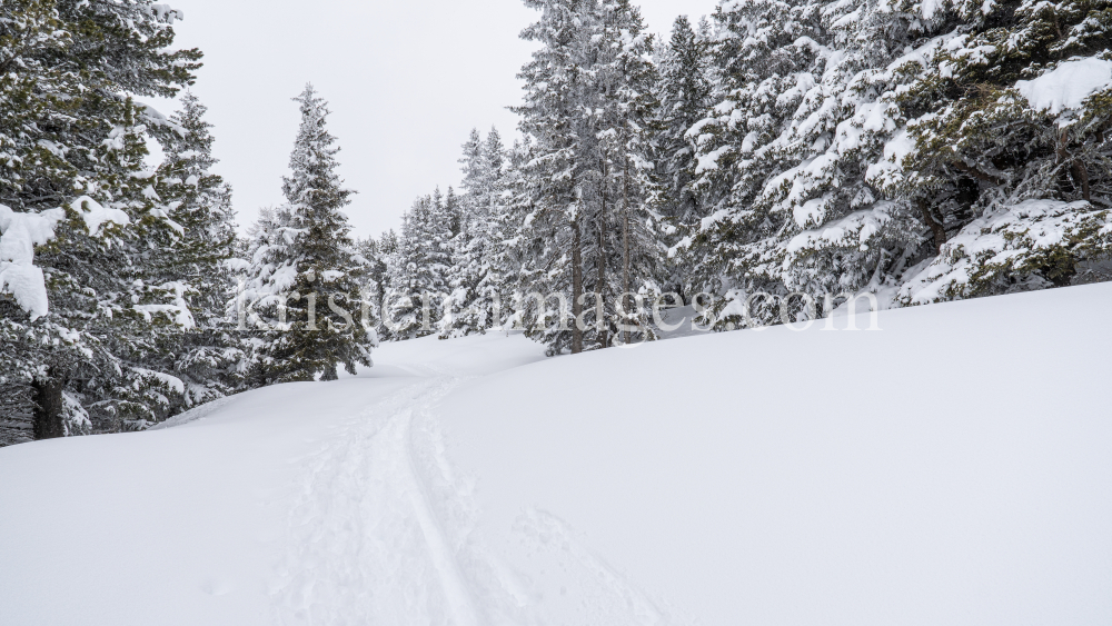 Skitourenspur / Patscherkofel, Tirol, Austria by kristen-images.com