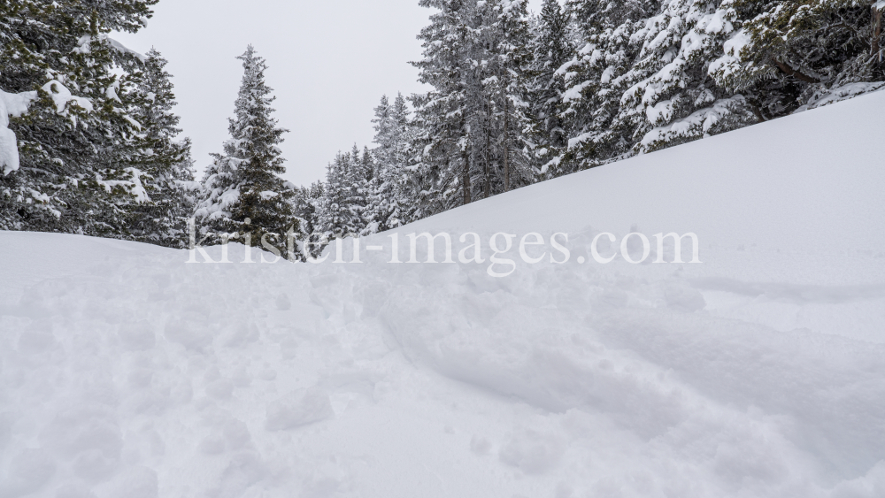 Skitourenspur / Patscherkofel, Tirol, Austria by kristen-images.com