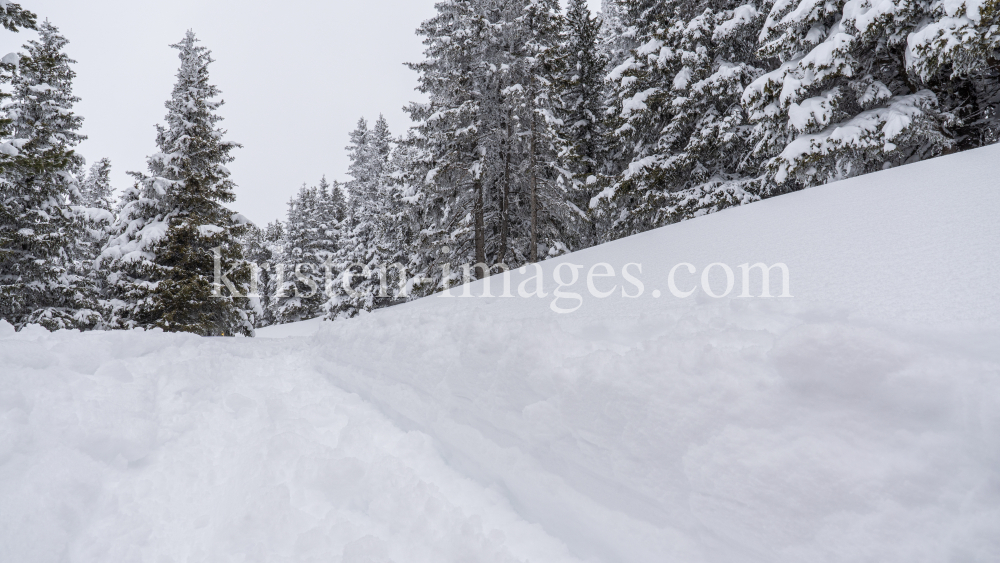 Skitourenspur / Patscherkofel, Tirol, Austria by kristen-images.com