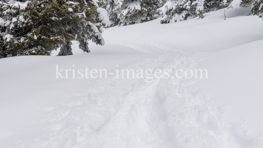 Skitourenspur / Patscherkofel, Tirol, Austria by kristen-images.com