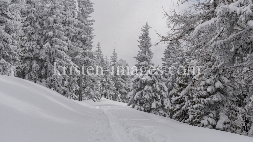 Skitourenspur / Patscherkofel, Tirol, Austria by kristen-images.com