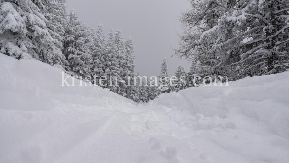 Skitourenspur / Patscherkofel, Tirol, Austria by kristen-images.com