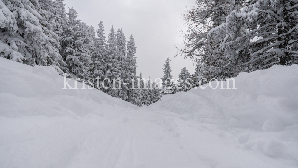 Skitourenspur / Patscherkofel, Tirol, Austria by kristen-images.com