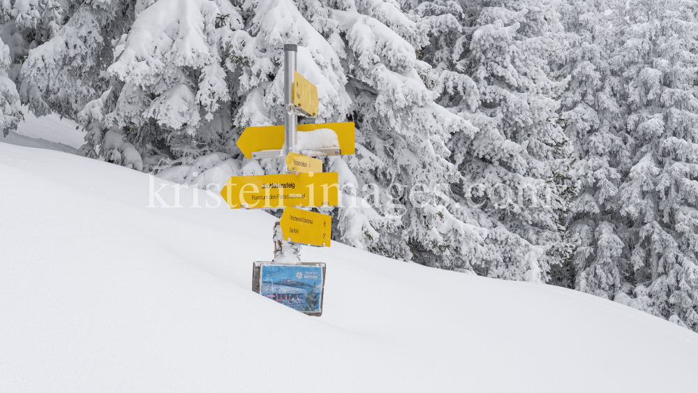 zugeschneites Wanderwegschild am Berg / Patscherkofel, Tirol, Austria by kristen-images.com