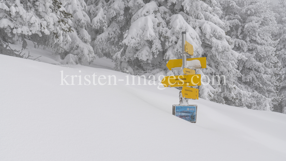 zugeschneites Wanderwegschild am Berg / Patscherkofel, Tirol, Austria by kristen-images.com