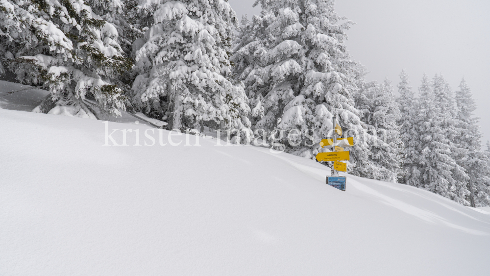 zugeschneites Wanderwegschild am Berg / Patscherkofel, Tirol, Austria by kristen-images.com