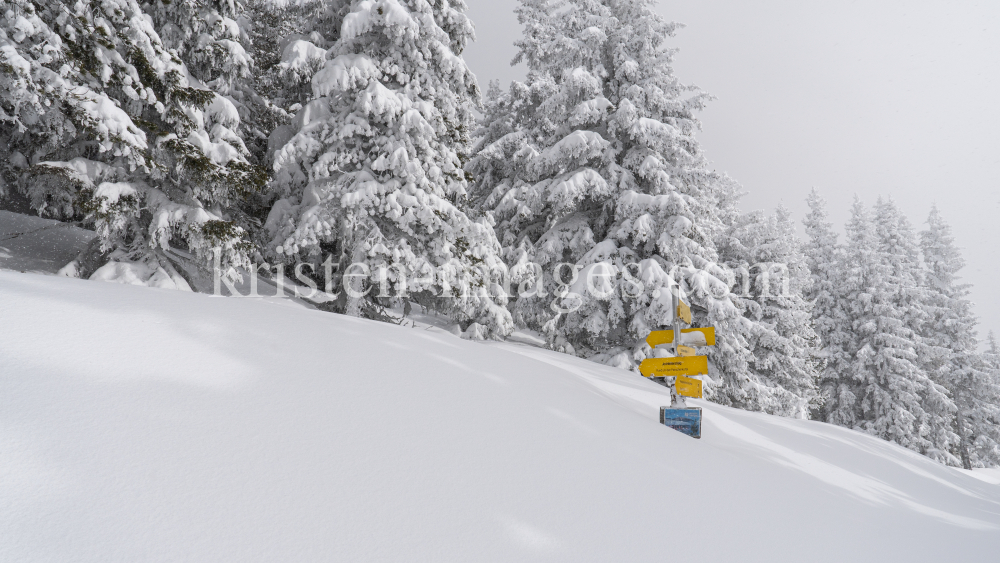 zugeschneites Wanderwegschild am Berg / Patscherkofel, Tirol, Austria by kristen-images.com