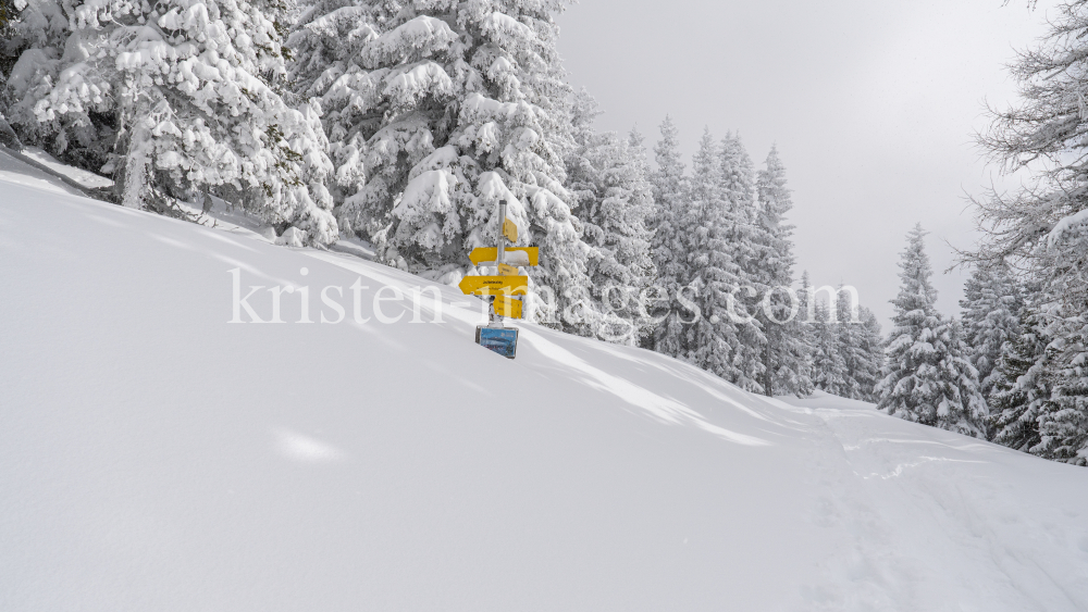 zugeschneites Wanderwegschild am Berg / Patscherkofel, Tirol, Austria by kristen-images.com