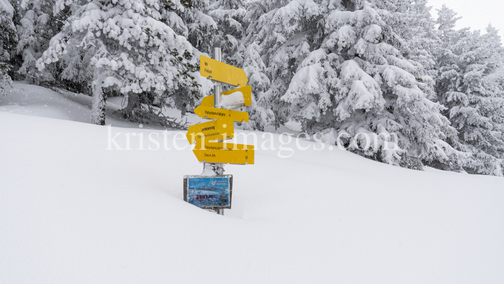 zugeschneites Wanderwegschild am Berg / Patscherkofel, Tirol, Austria by kristen-images.com