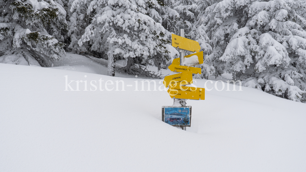 zugeschneites Wanderwegschild am Berg / Patscherkofel, Tirol, Austria by kristen-images.com