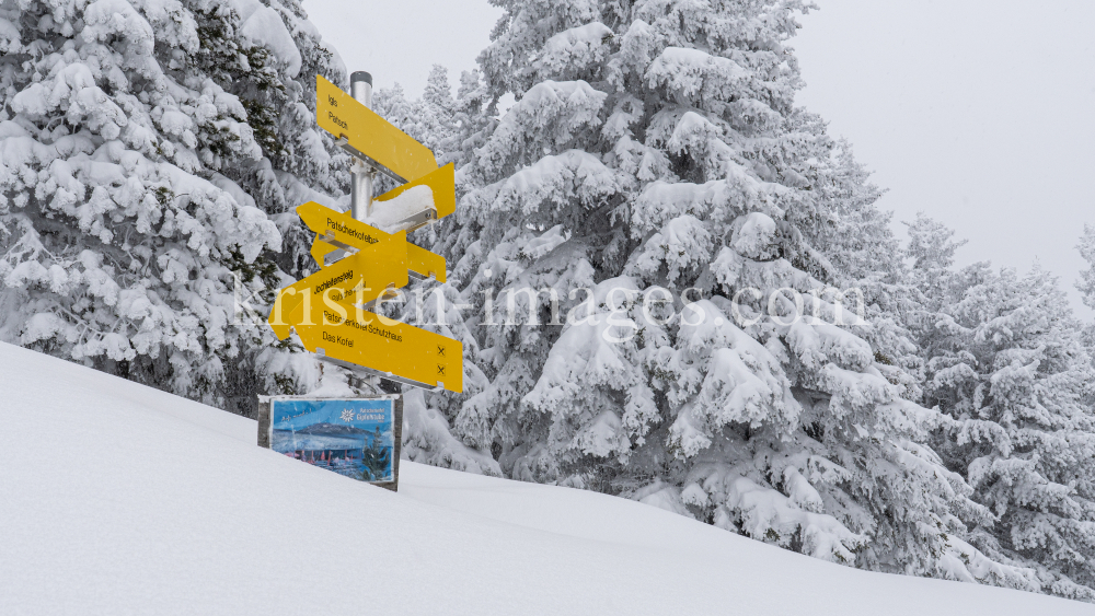 zugeschneites Wanderwegschild am Berg / Patscherkofel, Tirol, Austria by kristen-images.com