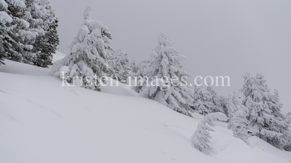 Winterlandschaft / Patscherkofel, Tirol, Österreich by kristen-images.com