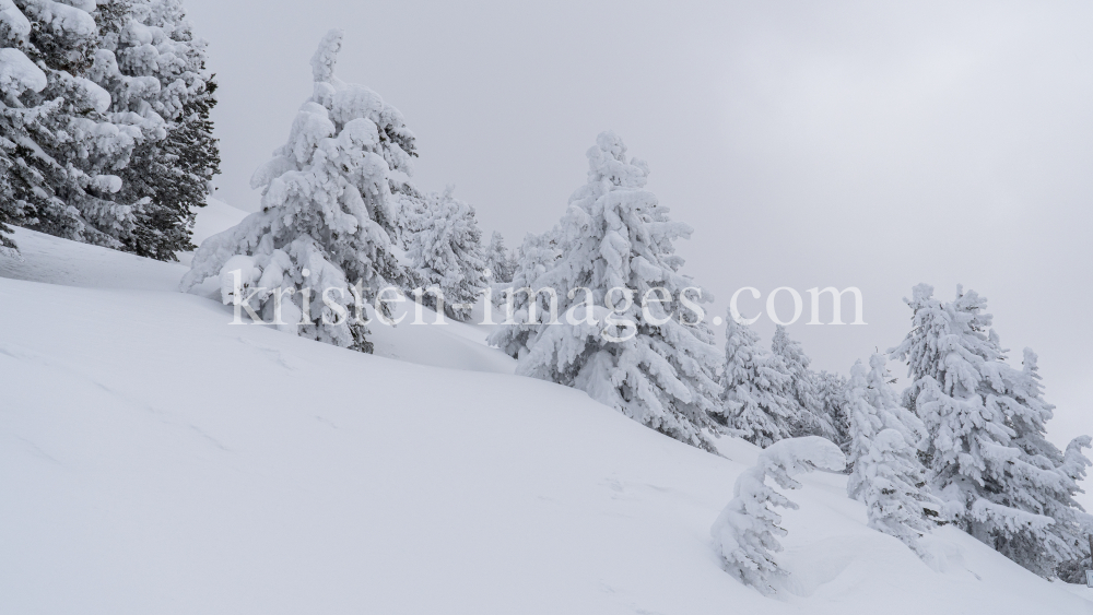 Winterlandschaft / Patscherkofel, Tirol, Österreich by kristen-images.com