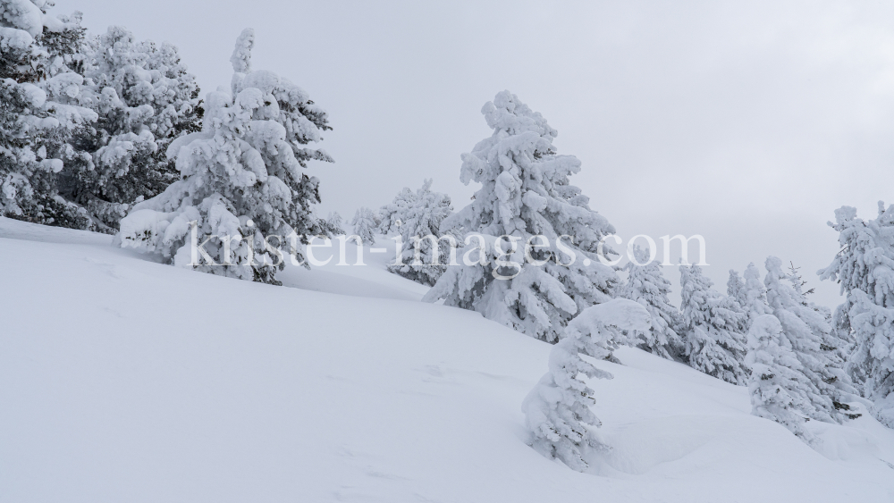 Winterlandschaft / Patscherkofel, Tirol, Österreich by kristen-images.com