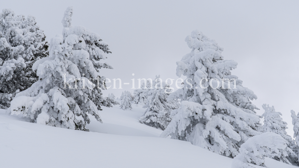 Winterlandschaft / Patscherkofel, Tirol, Österreich by kristen-images.com