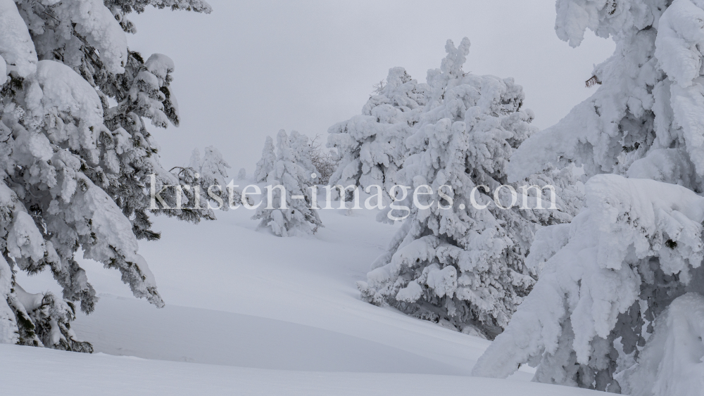 Winterlandschaft / Patscherkofel, Tirol, Österreich by kristen-images.com