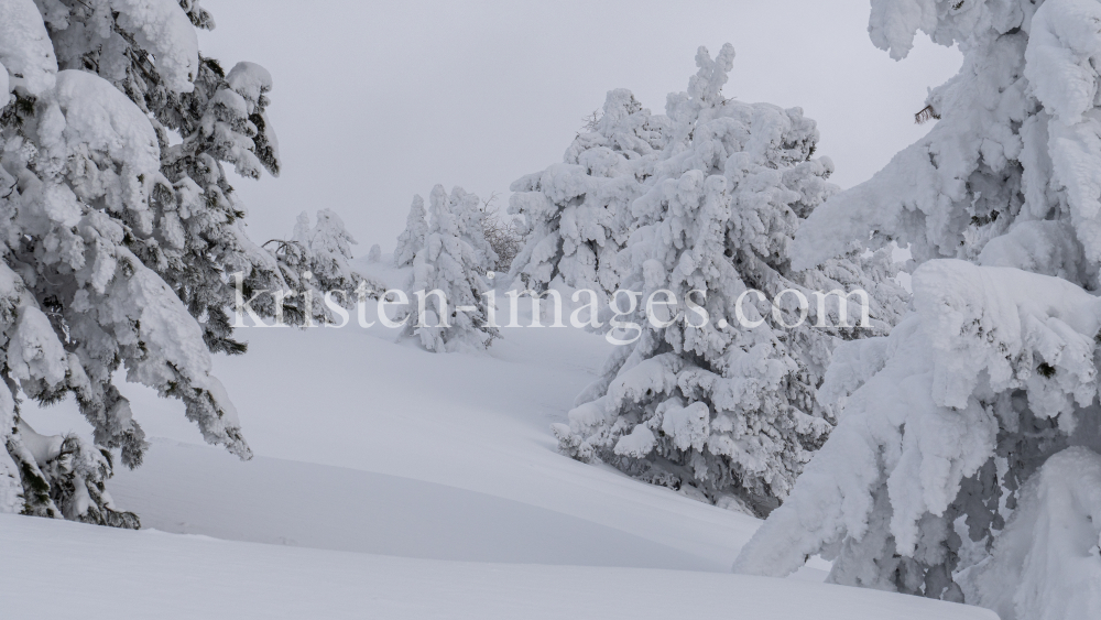 Winterlandschaft / Patscherkofel, Tirol, Österreich by kristen-images.com