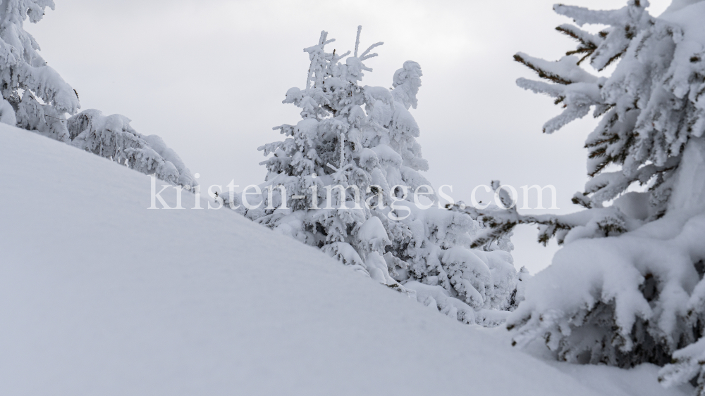 Winterlandschaft / Patscherkofel, Tirol, Österreich by kristen-images.com