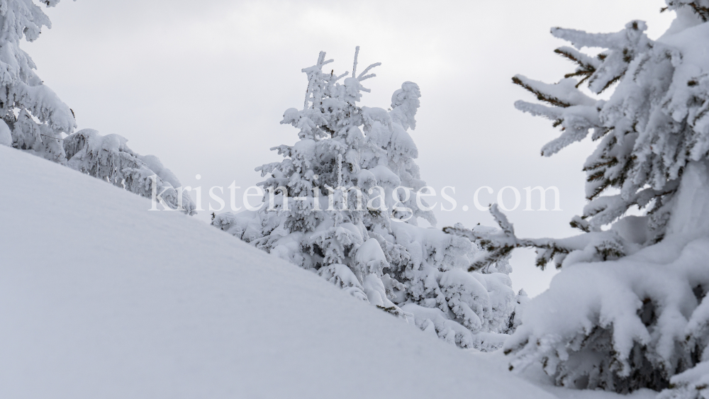 Winterlandschaft / Patscherkofel, Tirol, Österreich by kristen-images.com