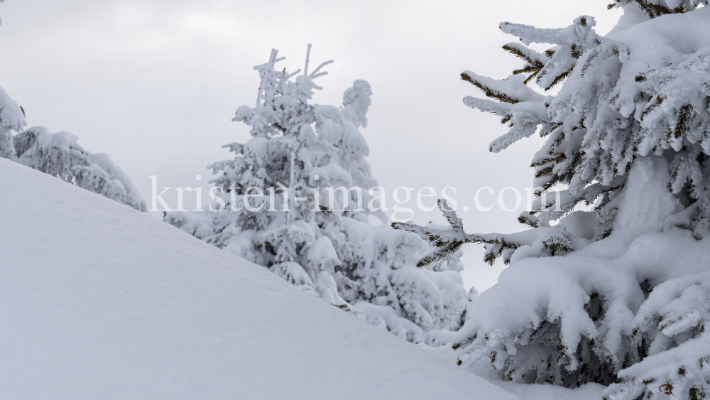 Winterlandschaft / Patscherkofel, Tirol, Österreich by kristen-images.com