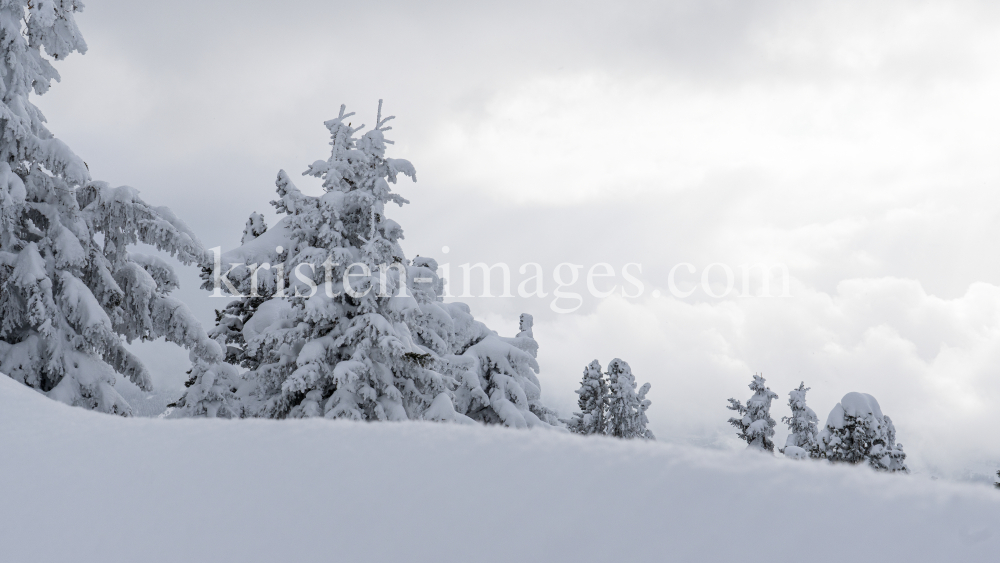 Winterlandschaft / Patscherkofel, Tirol, Österreich by kristen-images.com