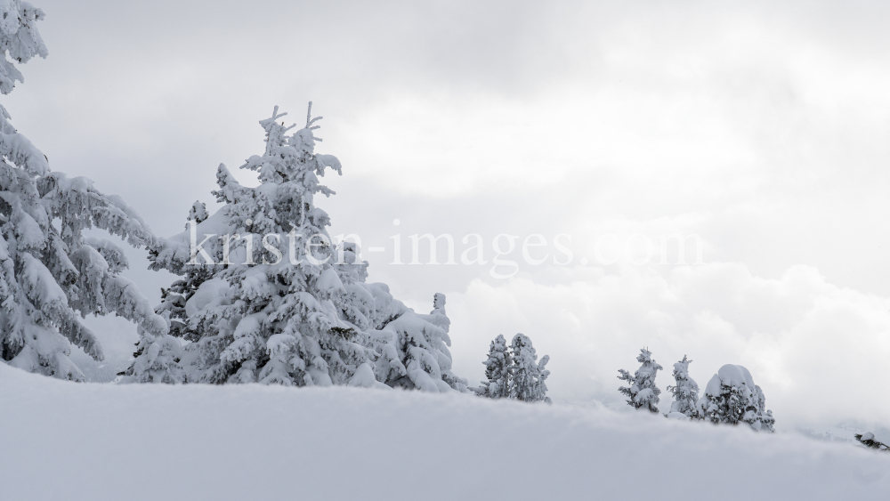 Winterlandschaft / Patscherkofel, Tirol, Österreich by kristen-images.com