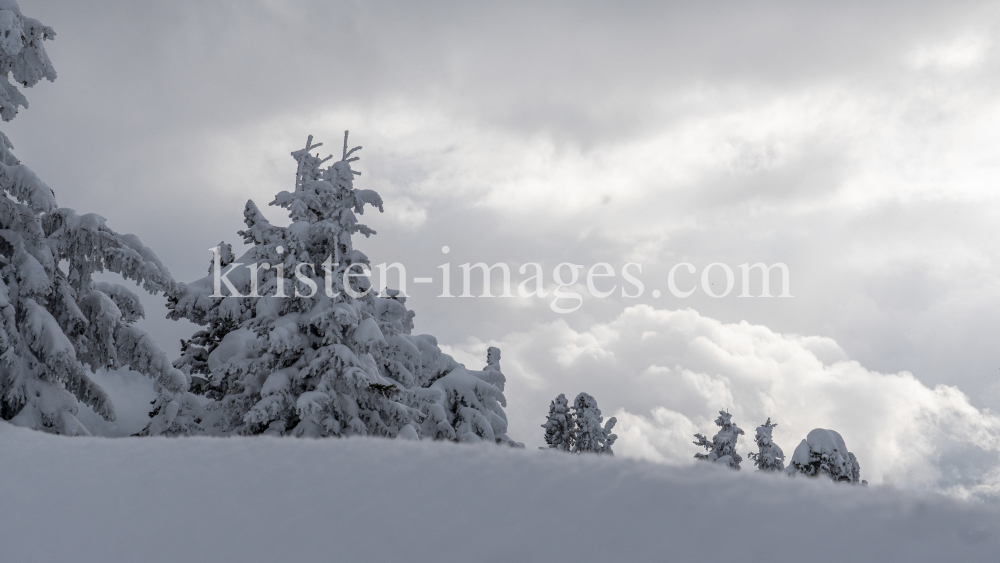 Winterlandschaft / Patscherkofel, Tirol, Österreich by kristen-images.com