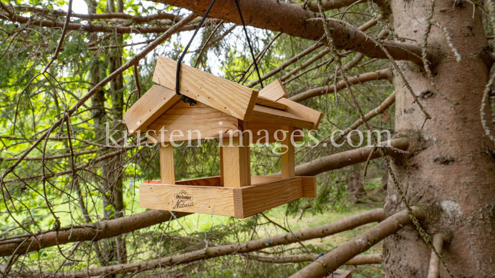 Vogelhaus aus Holz by kristen-images.com