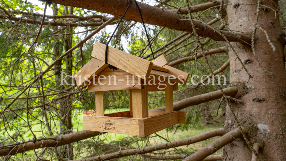 Vogelhaus aus Holz by kristen-images.com