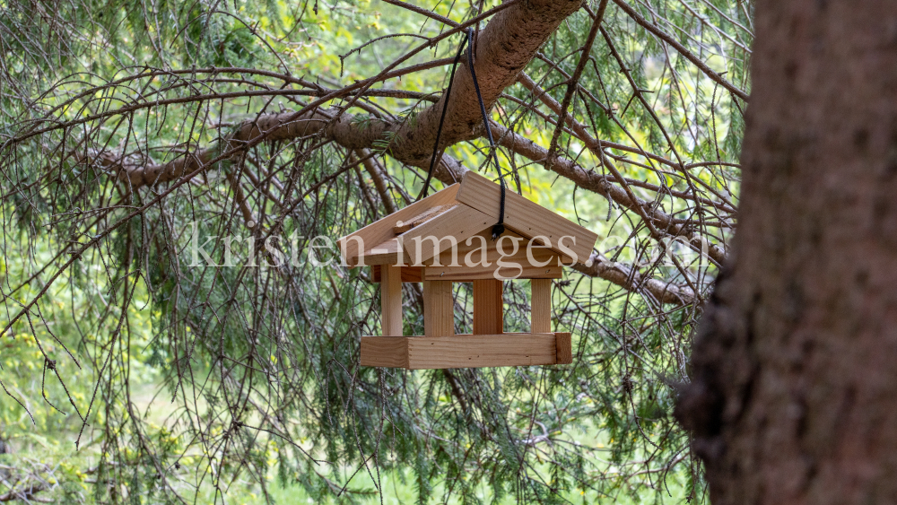 Vogelhaus aus Holz by kristen-images.com