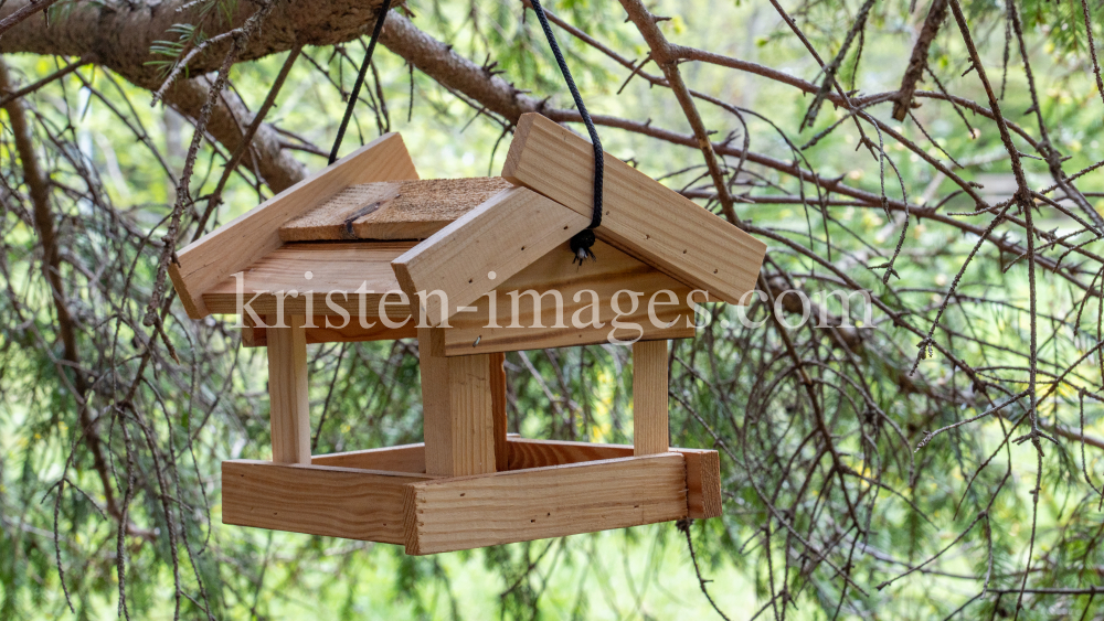 Vogelhaus aus Holz by kristen-images.com