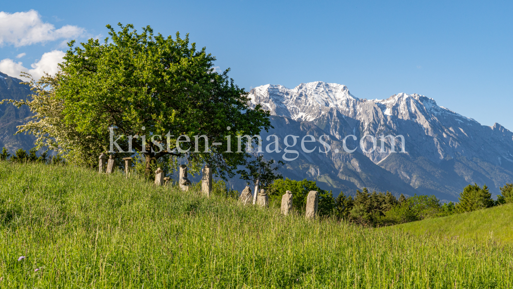 Bäume / Aldrans, Tirol, Österreich by kristen-images.com