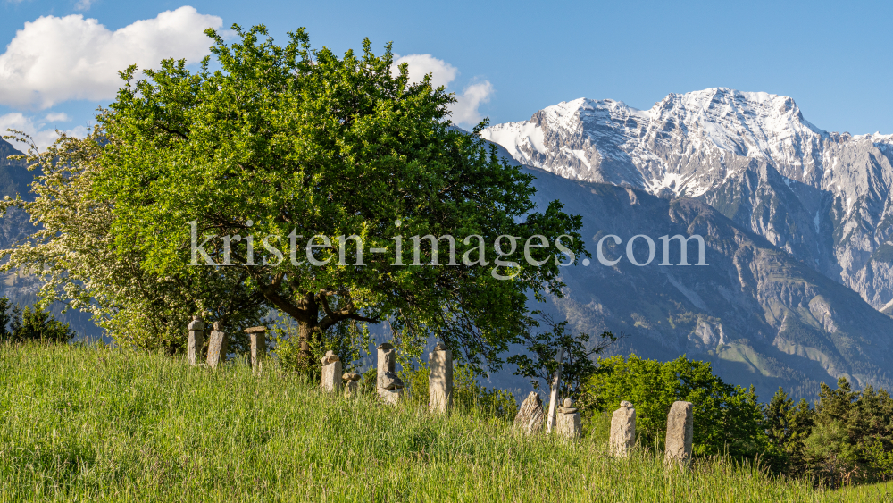 Bäume / Aldrans, Tirol, Österreich by kristen-images.com