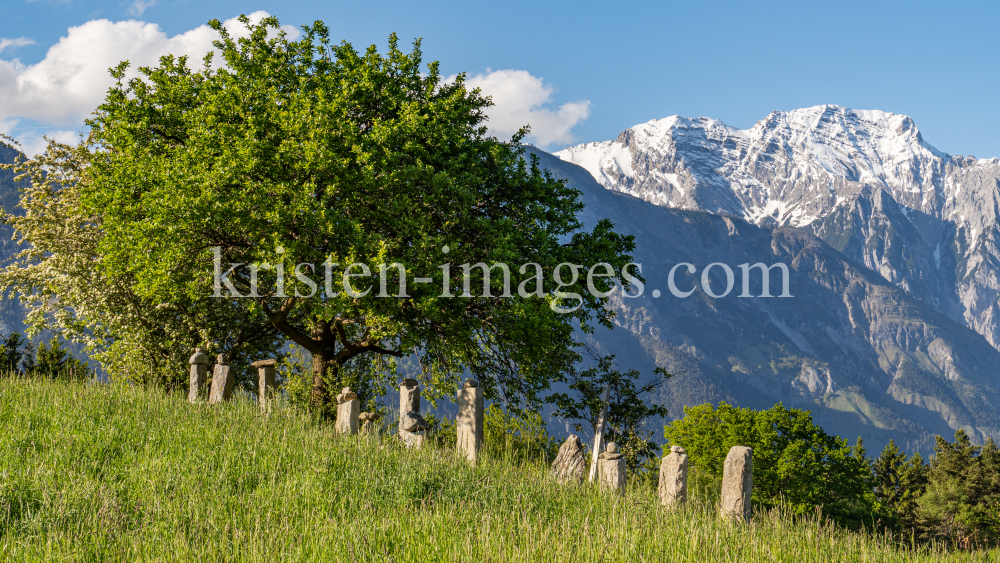 Bäume / Aldrans, Tirol, Österreich by kristen-images.com