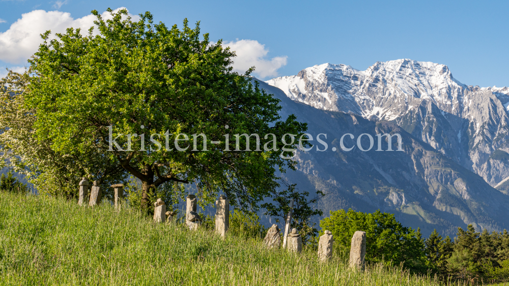 Bäume / Aldrans, Tirol, Österreich by kristen-images.com