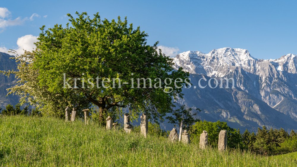 Bäume / Aldrans, Tirol, Österreich by kristen-images.com