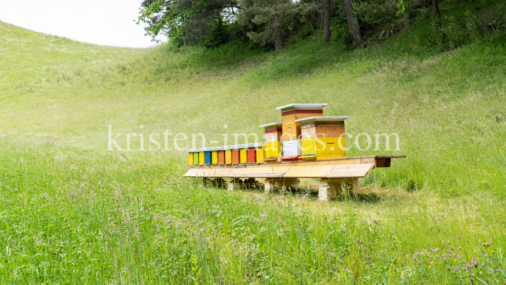 Bienenstock auf einer Blumenwiese by kristen-images.com
