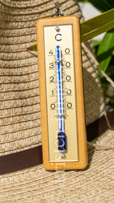 Thermometer, Flüssigkeitsthermometer by kristen-images.com