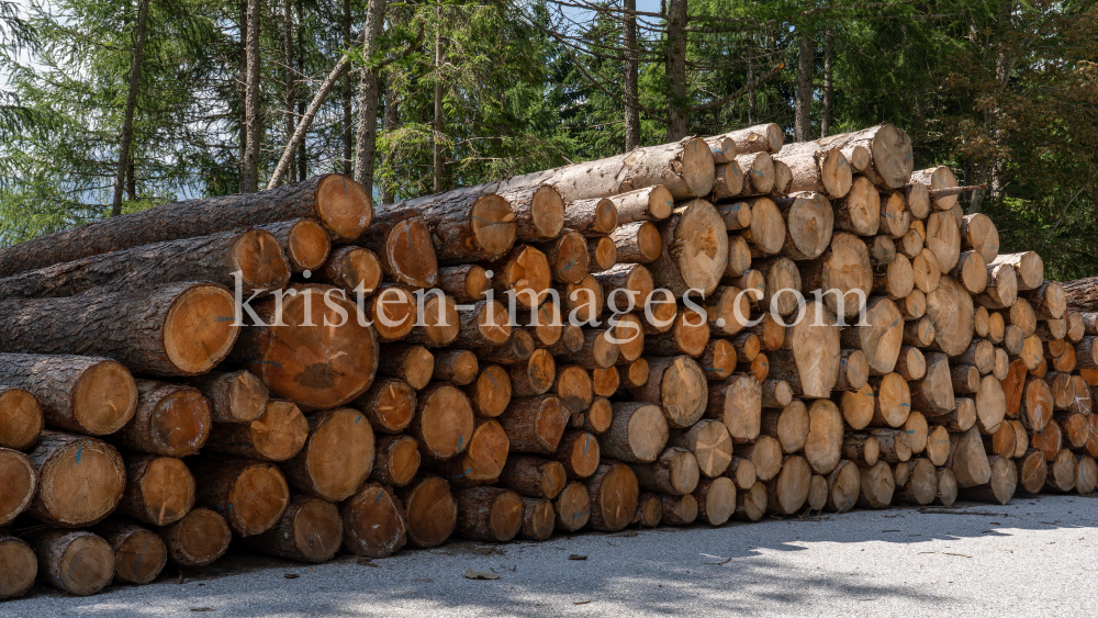 Lagerung von Baumstämmen by kristen-images.com