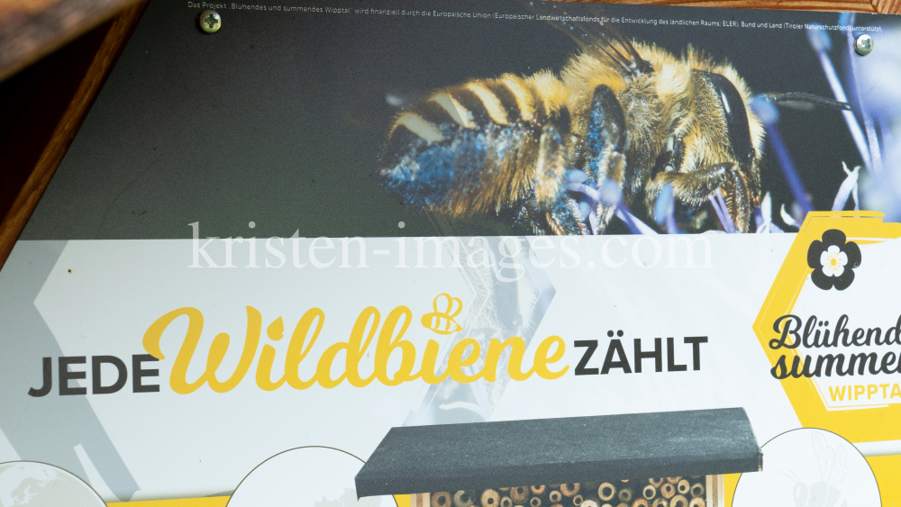Wildbienen Informationsstand / Arztal, Ellbögen, Tirol, Österreich by kristen-images.com