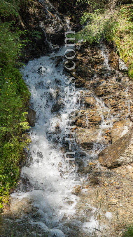 kleiner Wasserfall / Gebirgsbach / Arztal, Ellbögen, Tirol, Österreich by kristen-images.com
