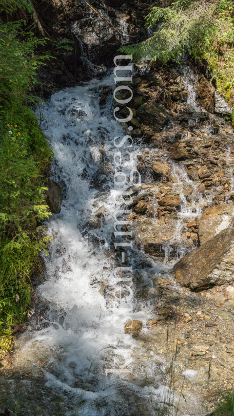 kleiner Wasserfall / Gebirgsbach / Arztal, Ellbögen, Tirol, Österreich by kristen-images.com