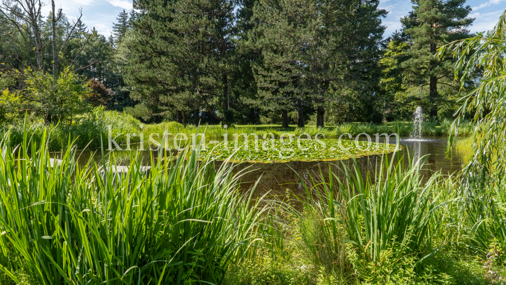 Seerosenteich, Kurpark Igls, Innsbruck, Tirol, Österreich by kristen-images.com