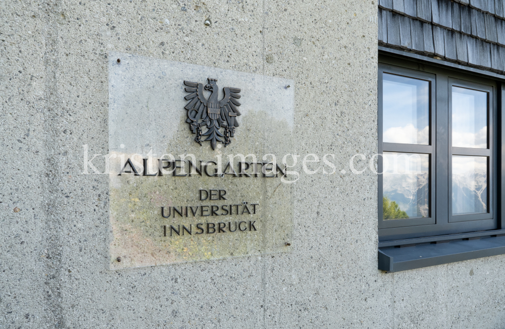 Alpengarten der Universität Innsbruck, Patscherkofel, Tirol, Österreich by kristen-images.com