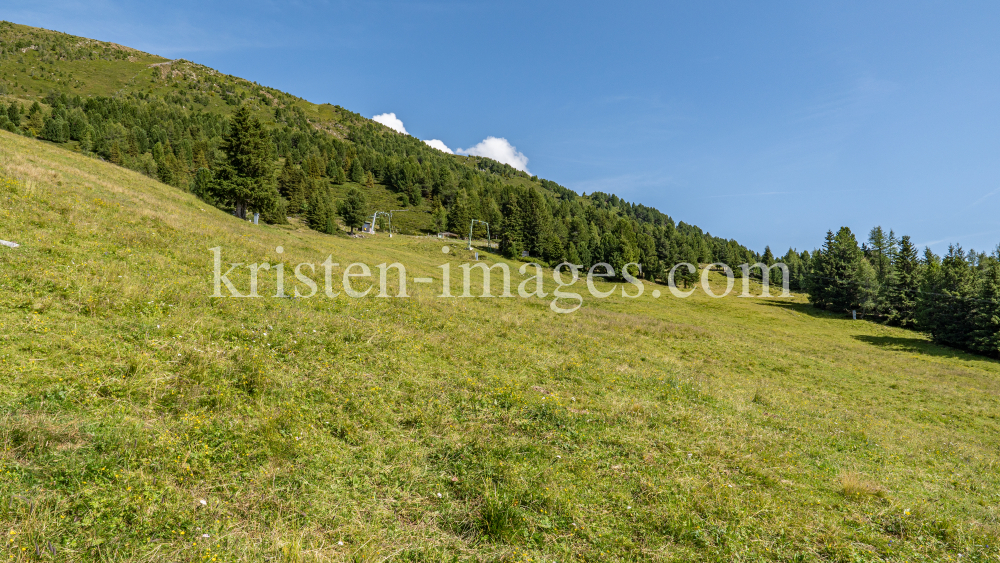 Skilift, Skiabfahrt im Sommer / Patscherkofel, Tirol, Österreich by kristen-images.com