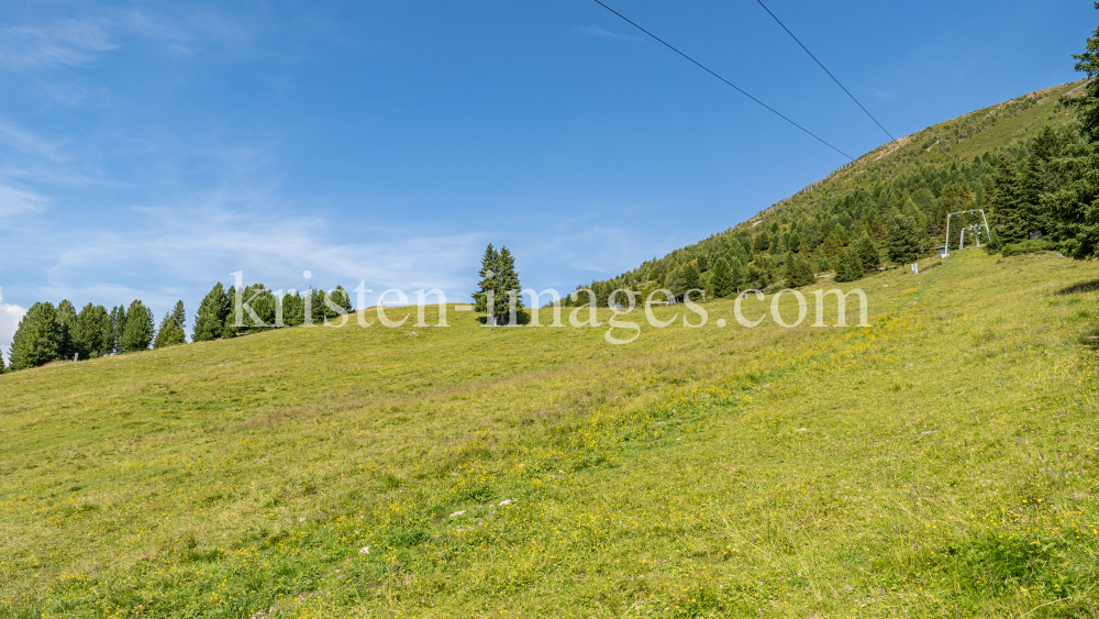 Skilift, Skiabfahrt im Sommer / Patscherkofel, Tirol, Österreich by kristen-images.com