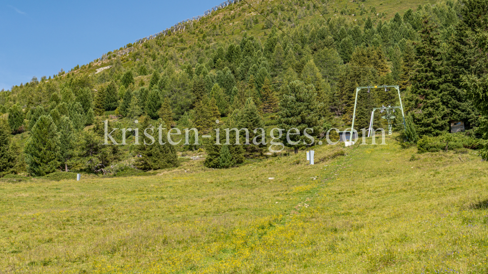 Skilift, Skiabfahrt im Sommer / Patscherkofel, Tirol, Österreich by kristen-images.com