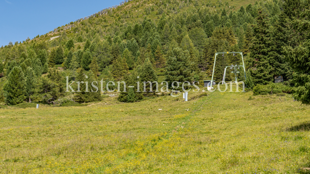 Skilift, Skiabfahrt im Sommer / Patscherkofel, Tirol, Österreich by kristen-images.com