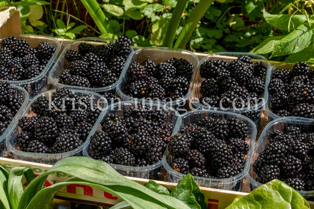 Brombeeren by kristen-images.com